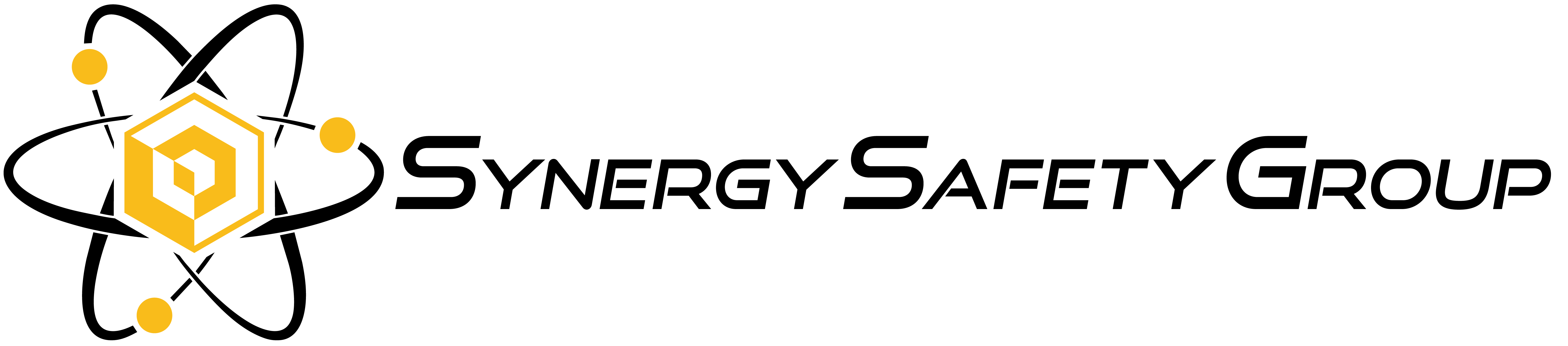 Synergy Safety Group